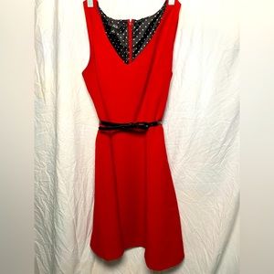 Gorgeous work style dress